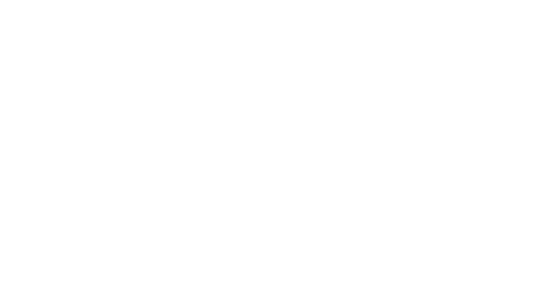 accionlab